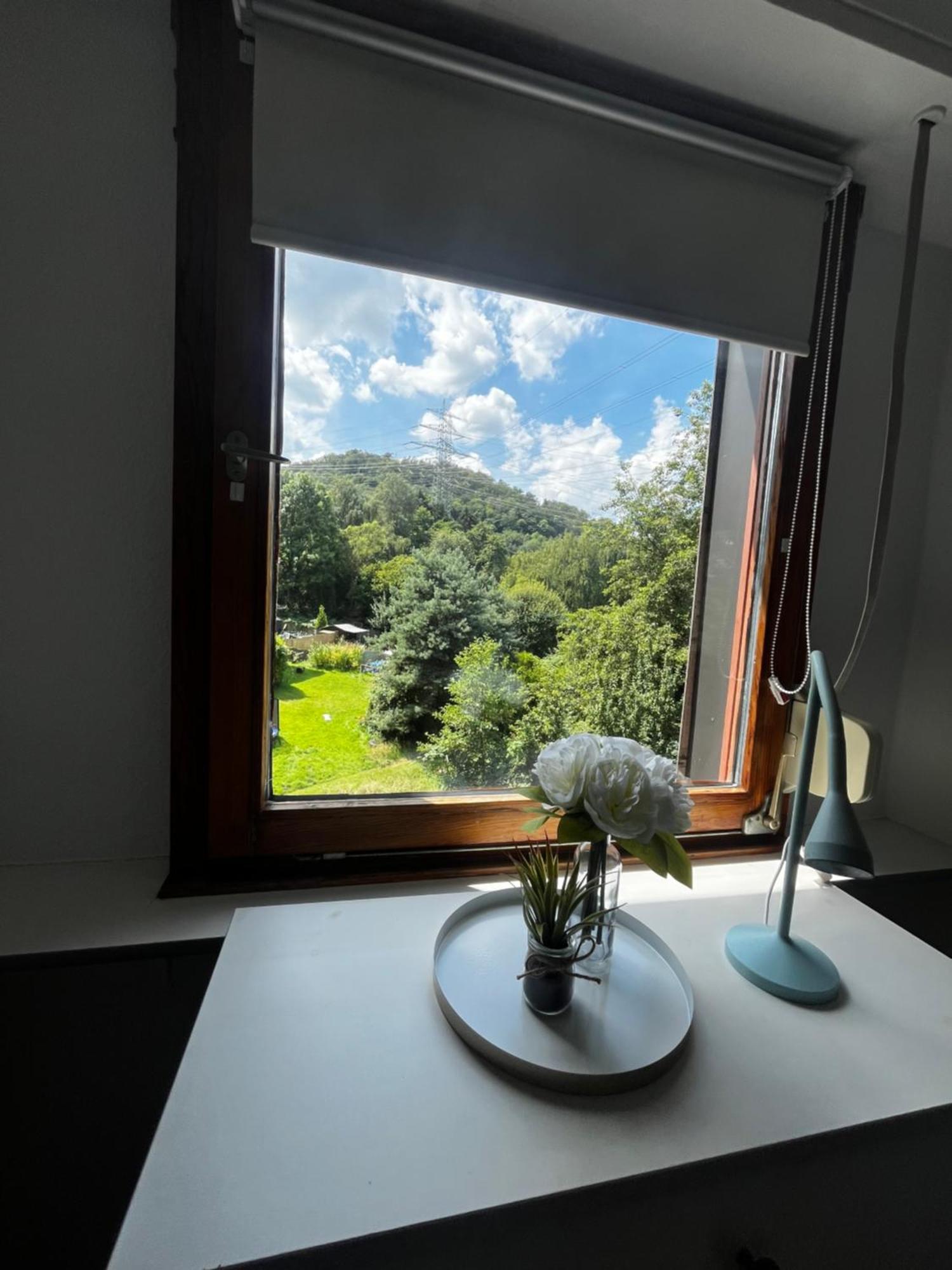 Appartamento Idyllisch Wohnen An Der Ruhr Hattingen Esterno foto